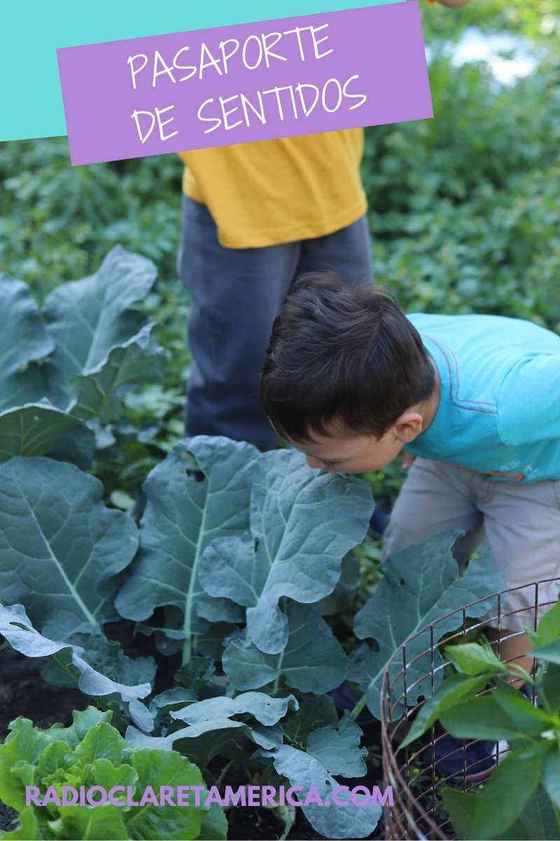 actividades para niños de prescolar 5 sentidos del cuerpo